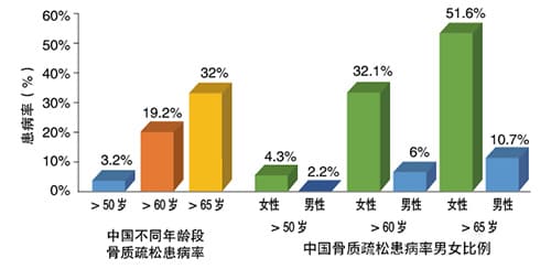 女性骨質數據