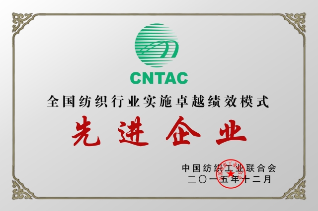 卓越績效先進(jìn)企業(yè)